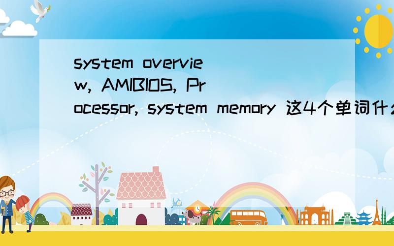 system overview, AMIBIOS, Processor, system memory 这4个单词什么意思