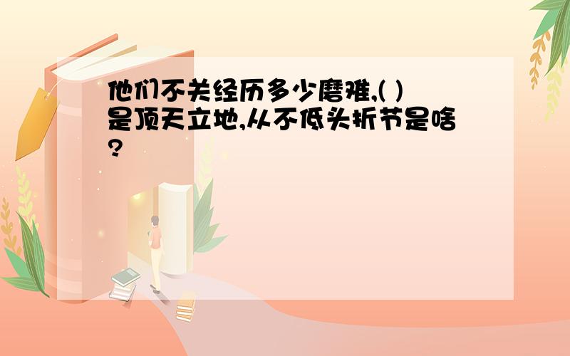 他们不关经历多少磨难,( )是顶天立地,从不低头折节是啥?