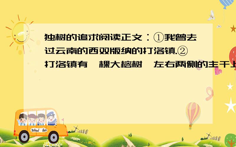 独树的追求阅读正文：①我曾去过云南的西双版纳的打洛镇.②打洛镇有一棵大榕树,左右两侧的主干上生有三十余条气生支柱根,垂直