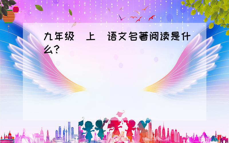 九年级（上）语文名著阅读是什么?