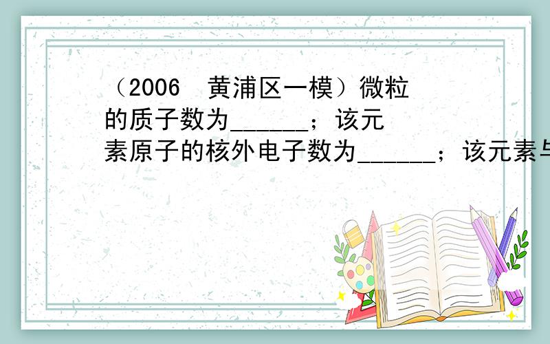 （2006•黄浦区一模）微粒的质子数为______；该元素原子的核外电子数为______；该元素与+3价铁元素形成的化合