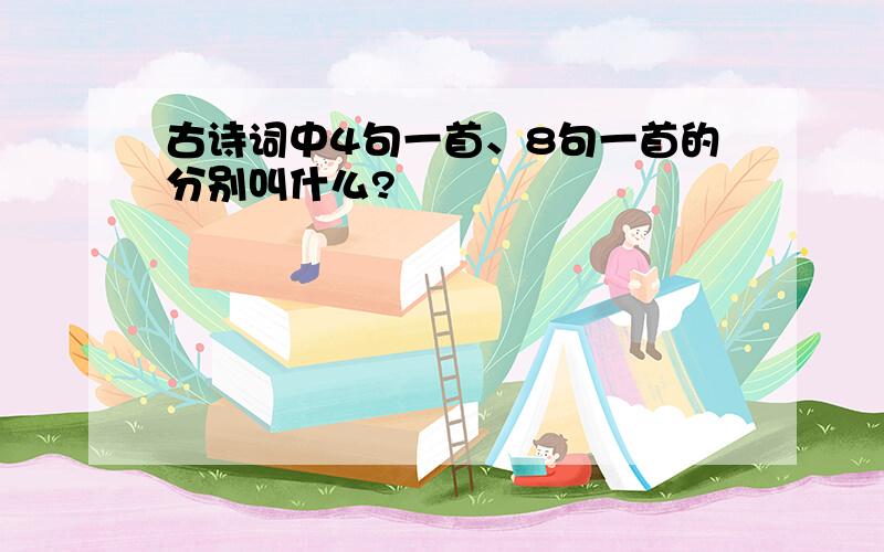 古诗词中4句一首、8句一首的分别叫什么?