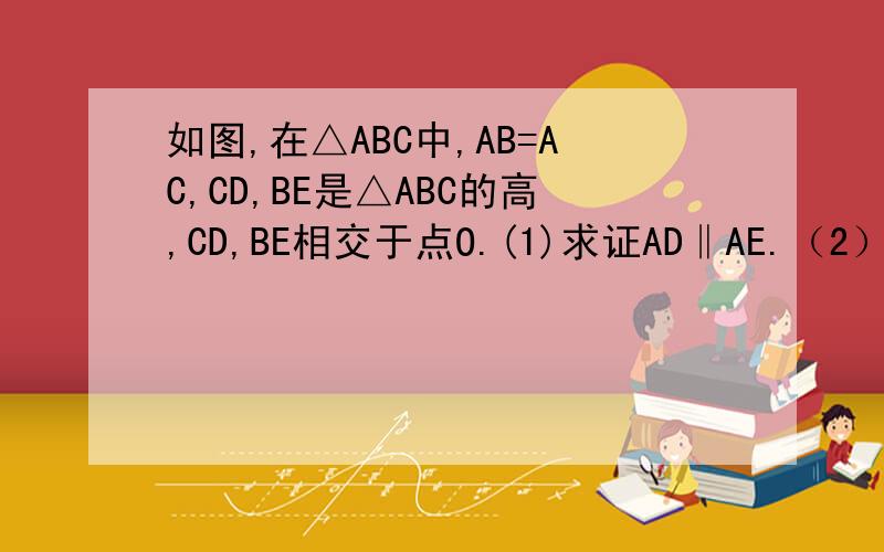 如图,在△ABC中,AB=AC,CD,BE是△ABC的高,CD,BE相交于点O.(1)求证AD‖AE.（2）连接OA,试