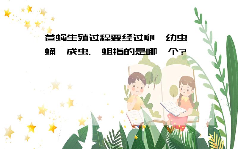 苍蝇生殖过程要经过卵,幼虫,蛹,成虫.,蛆指的是哪一个?