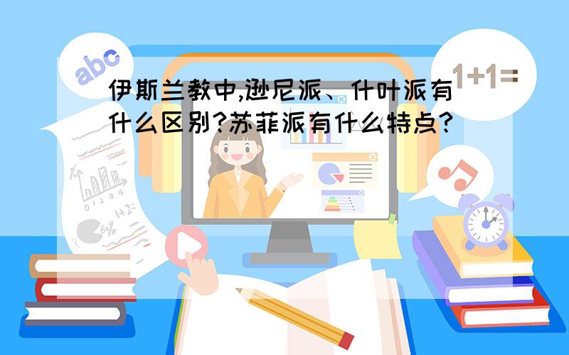 伊斯兰教中,逊尼派、什叶派有什么区别?苏菲派有什么特点?