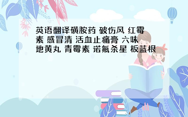 英语翻译磺胺药 破伤风 红霉素 感冒清 活血止痛膏 六味地黄丸 青霉素 诺氟杀星 板蓝根