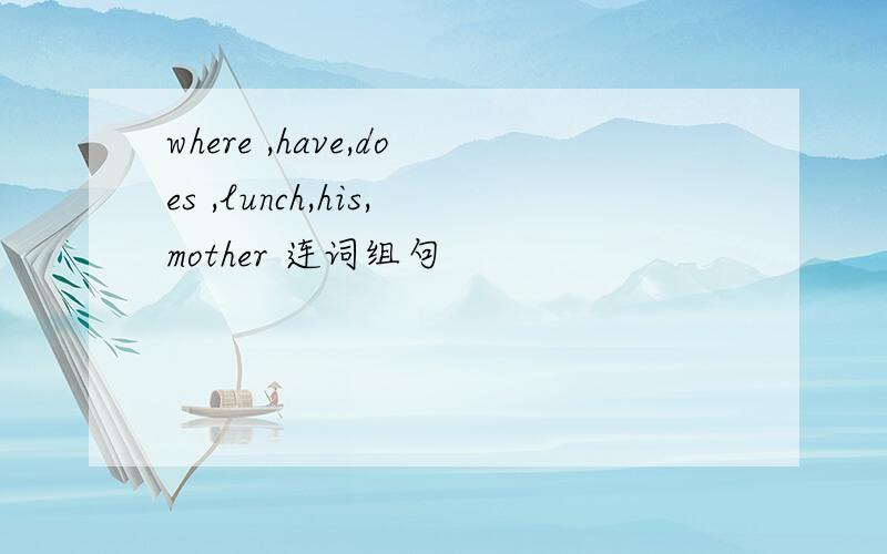 where ,have,does ,lunch,his,mother 连词组句