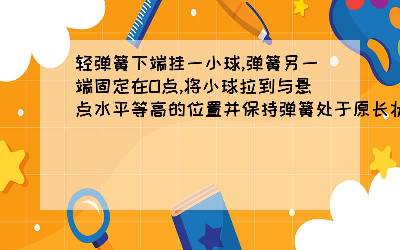 轻弹簧下端挂一小球,弹簧另一端固定在O点,将小球拉到与悬点水平等高的位置并保持弹簧处于原长状态,放手后物体向下运动,在运