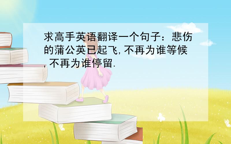 求高手英语翻译一个句子：悲伤的蒲公英已起飞,不再为谁等候,不再为谁停留.