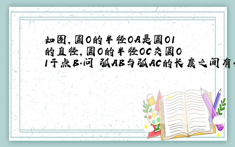 如图,圆O的半径OA是圆O1的直径,圆O的半径OC交圆O1于点B.问 弧AB与弧AC的长度之间有什么关系?