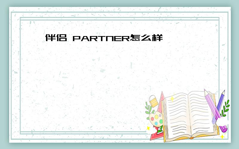 伴侣 PARTNER怎么样