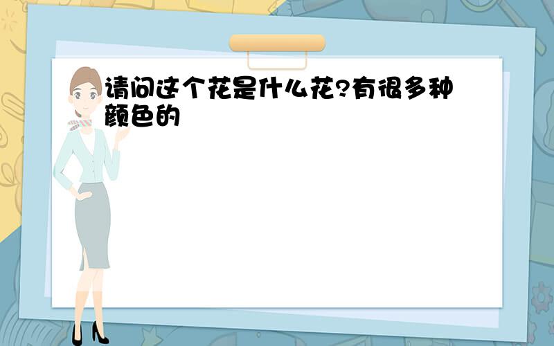 请问这个花是什么花?有很多种颜色的