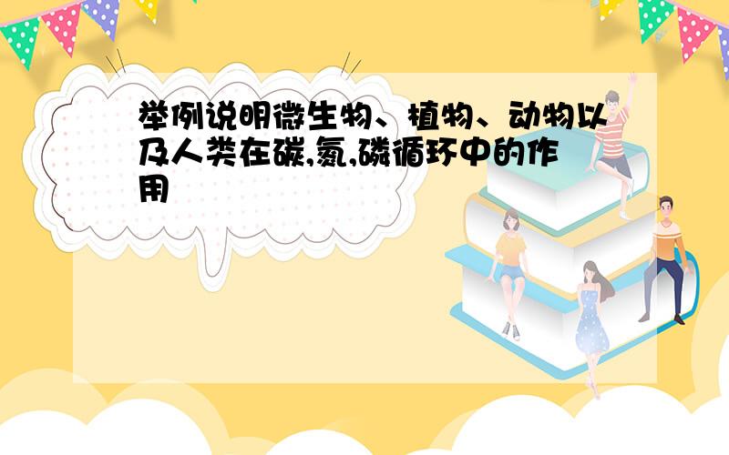 举例说明微生物、植物、动物以及人类在碳,氮,磷循环中的作用