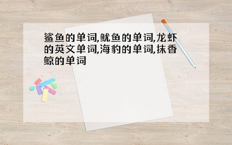 鲨鱼的单词,鱿鱼的单词,龙虾的英文单词,海豹的单词,抹香鲸的单词