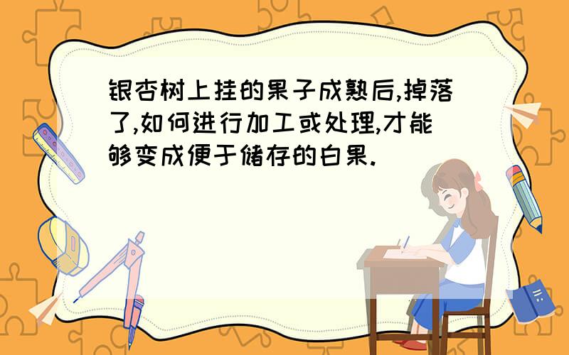 银杏树上挂的果子成熟后,掉落了,如何进行加工或处理,才能够变成便于储存的白果.