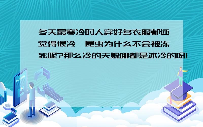 冬天最寒冷时人穿好多衣服都还觉得很冷,昆虫为什么不会被冻死呢?那么冷的天躲哪都是冰冷的呀!