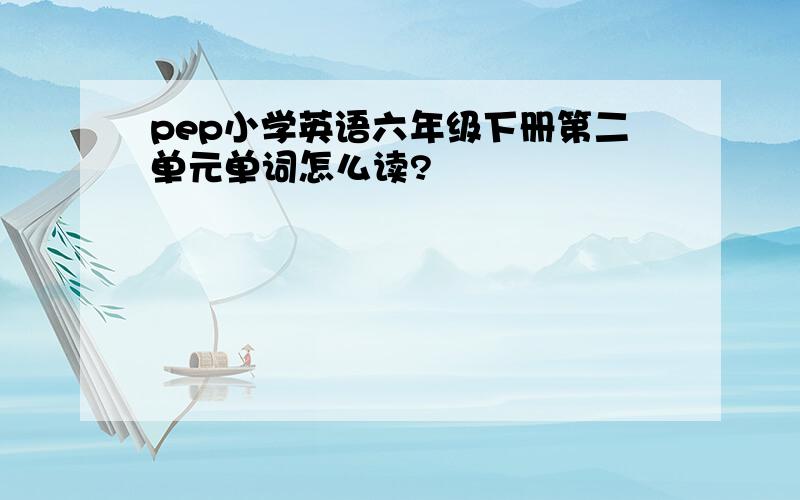 pep小学英语六年级下册第二单元单词怎么读?