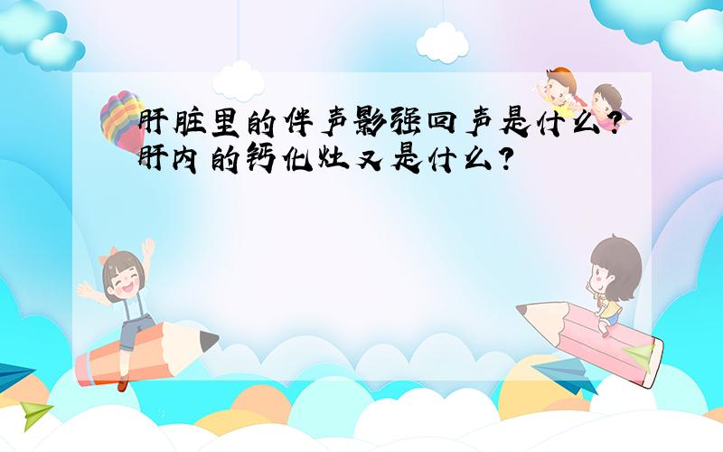 肝脏里的伴声影强回声是什么?肝内的钙化灶又是什么?