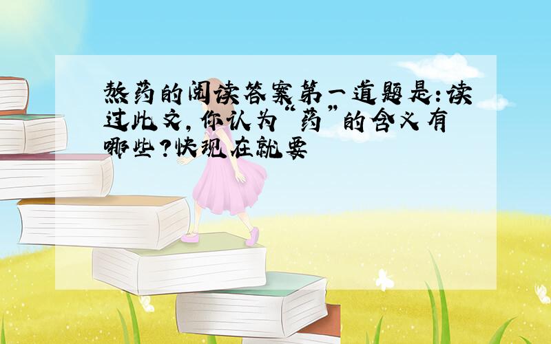 熬药的阅读答案第一道题是：读过此文,你认为“药”的含义有哪些?快现在就要