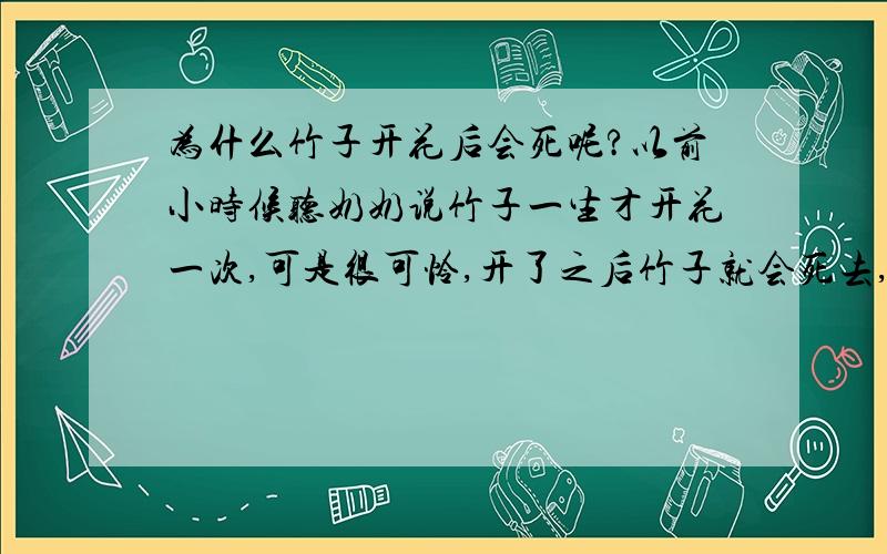 为什么竹子开花后会死呢?以前小时候听奶奶说竹子一生才开花一次,可是很可怜,开了之后竹子就会死去,如果是,那是什么原因呢?