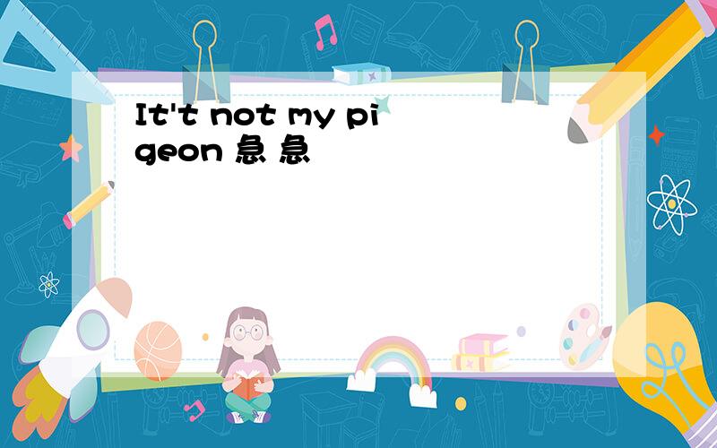 It't not my pigeon 急 急