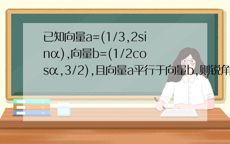 已知向量a=(1/3,2sinα),向量b=(1/2cosα,3/2),且向量a平行于向量b,则锐角α的值为