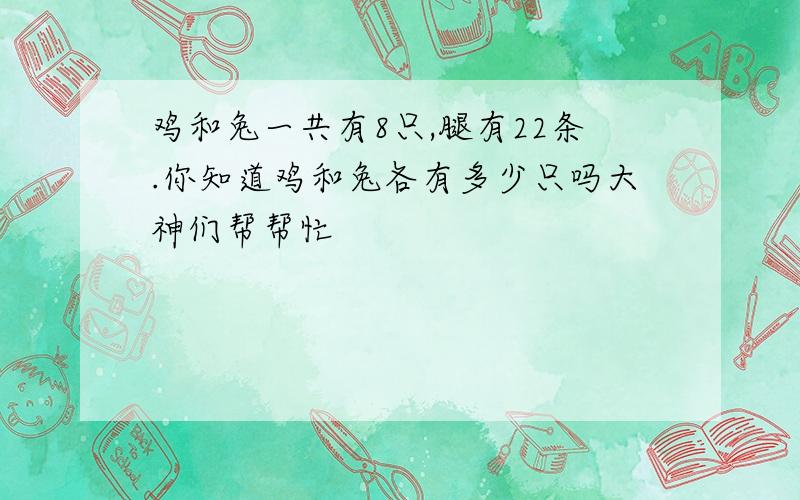 鸡和兔一共有8只,腿有22条.你知道鸡和兔各有多少只吗大神们帮帮忙