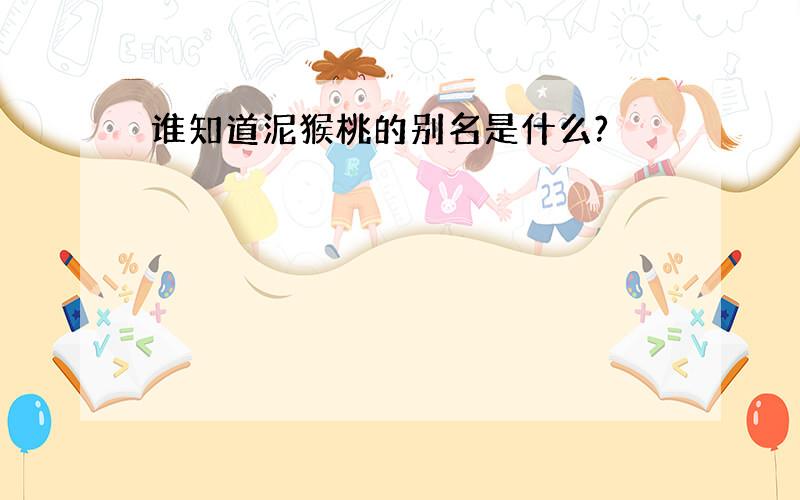 谁知道泥猴桃的别名是什么?