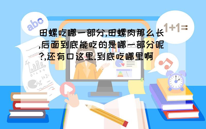 田螺吃哪一部分,田螺肉那么长,后面到底能吃的是哪一部分呢?,还有口这里.到底吃哪里啊