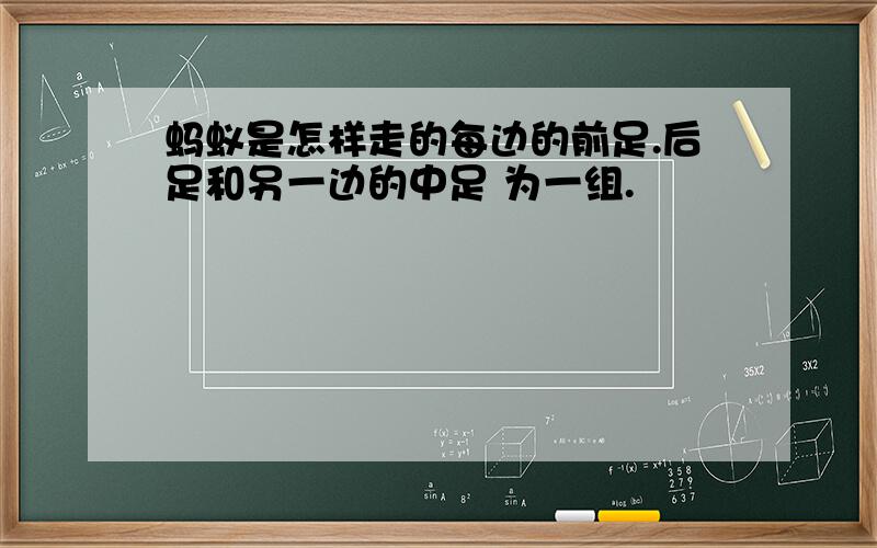 蚂蚁是怎样走的每边的前足.后足和另一边的中足 为一组.