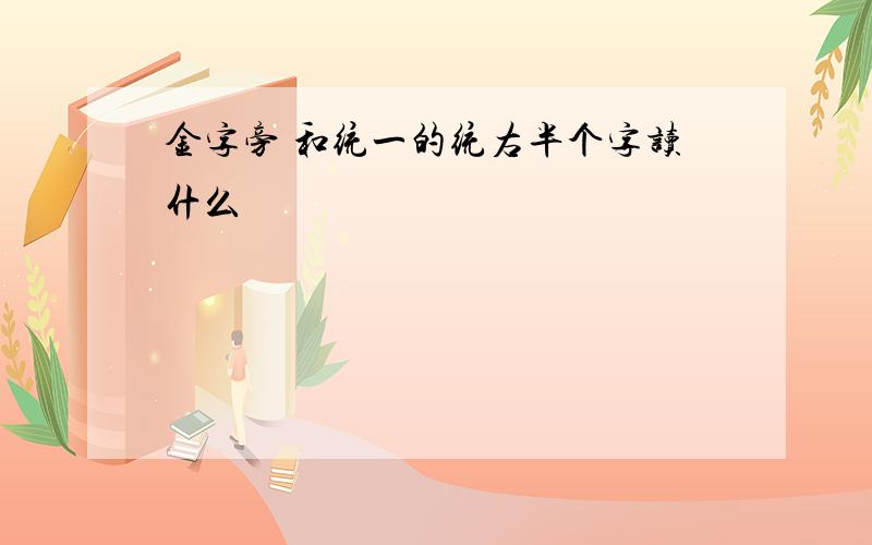 金字旁 和统一的统右半个字读什么