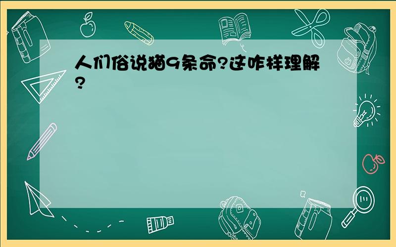 人们俗说猫9条命?这咋样理解?