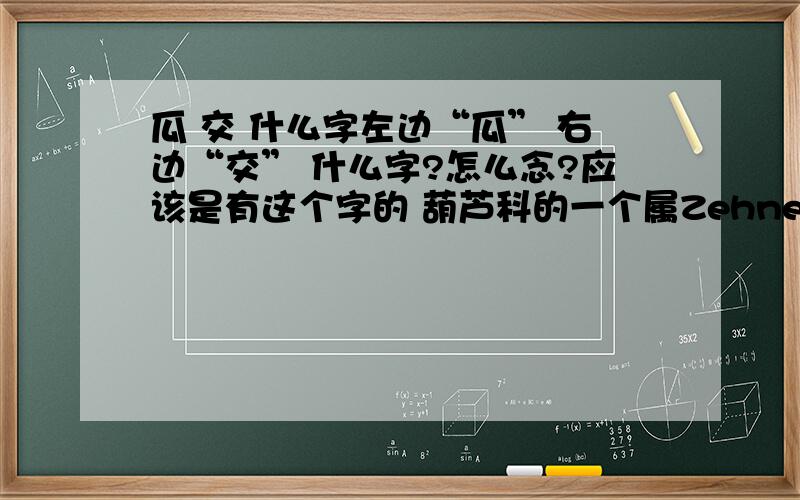 瓜 交 什么字左边“瓜” 右边“交” 什么字?怎么念?应该是有这个字的 葫芦科的一个属Zehneria.马[瓜@交]儿属