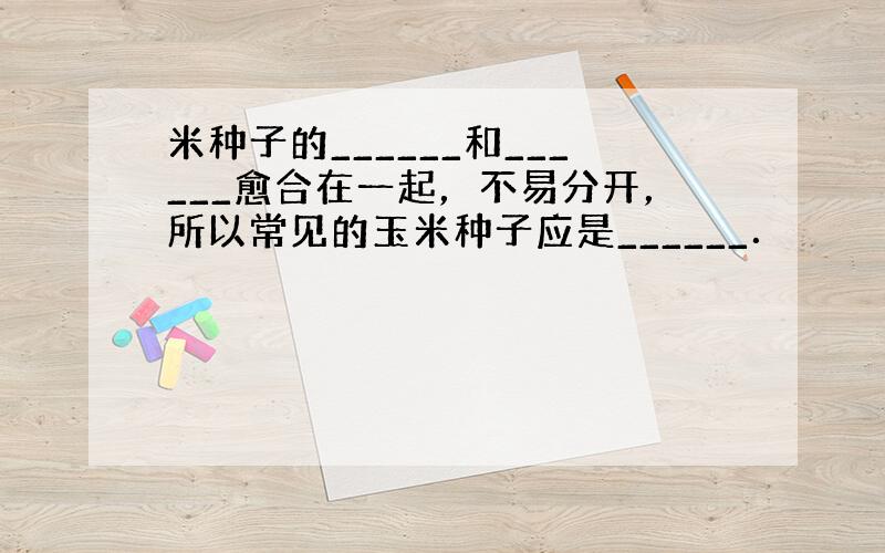 米种子的______和______愈合在一起，不易分开，所以常见的玉米种子应是______．