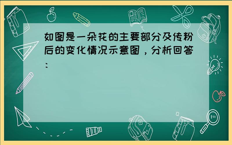 如图是一朵花的主要部分及传粉后的变化情况示意图，分析回答：