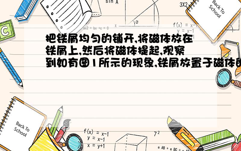 把铁屑均匀的铺开,将磁体放在铁屑上,然后将磁体提起,观察到如有图1所示的现象,铁屑放置于磁体的磁场中首先被_____,然