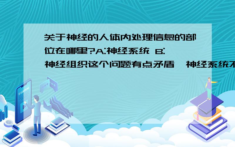 关于神经的人体内处理信息的部位在哪里?A:神经系统 B:神经组织这个问题有点矛盾,神经系统不是只有脑和脊髓,但神经组织中