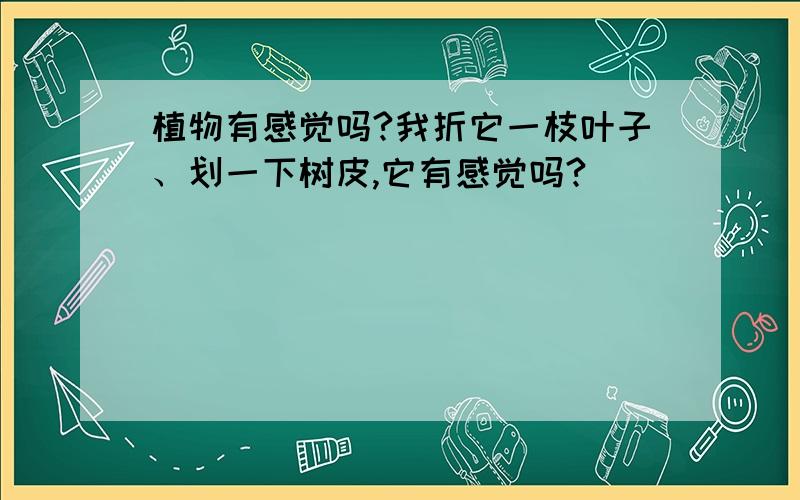 植物有感觉吗?我折它一枝叶子、划一下树皮,它有感觉吗?