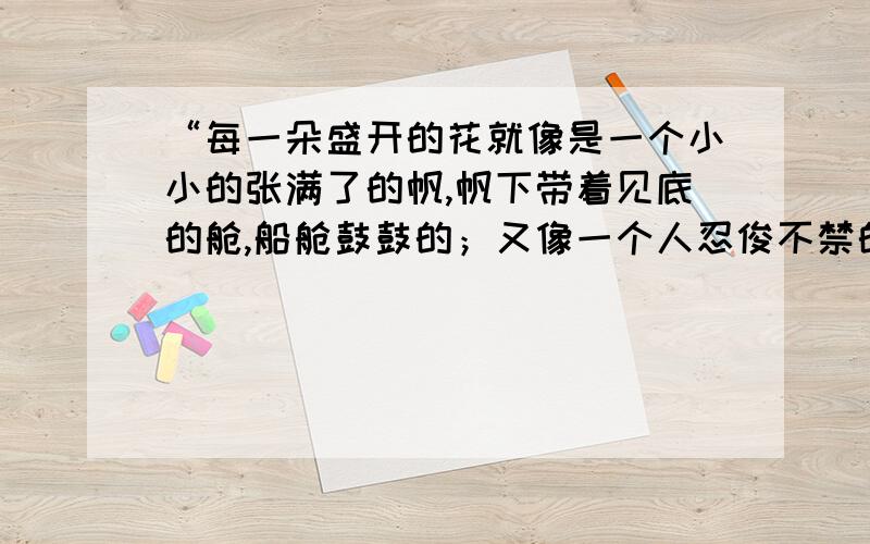 “每一朵盛开的花就像是一个小小的张满了的帆,帆下带着见底的舱,船舱鼓鼓的；又像一个人忍俊不禁的笑容,就要绽开似的.”用“