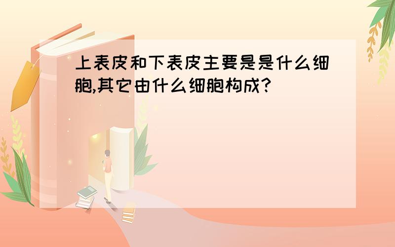 上表皮和下表皮主要是是什么细胞,其它由什么细胞构成?