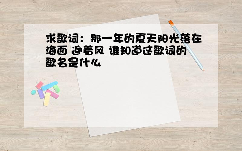 求歌词：那一年的夏天阳光落在海面 迎着风 谁知道这歌词的歌名是什么