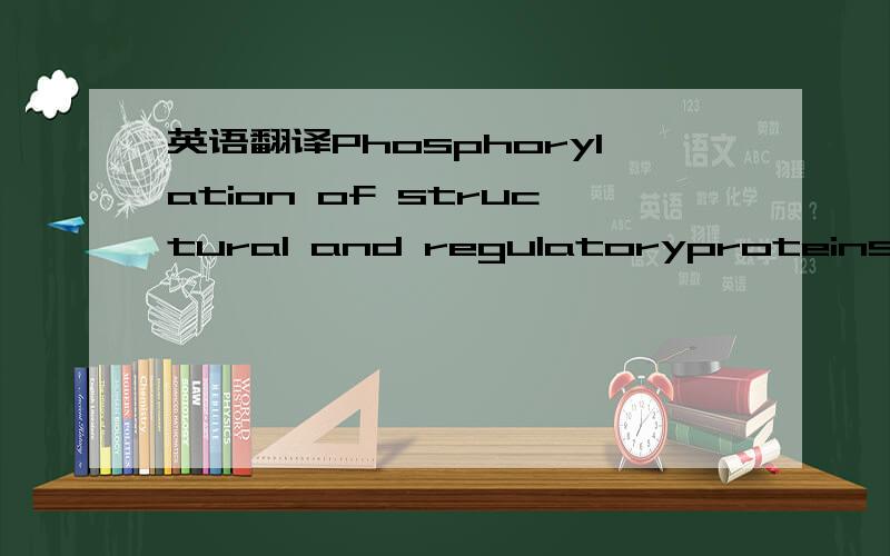 英语翻译Phosphorylation of structural and regulatoryproteins is