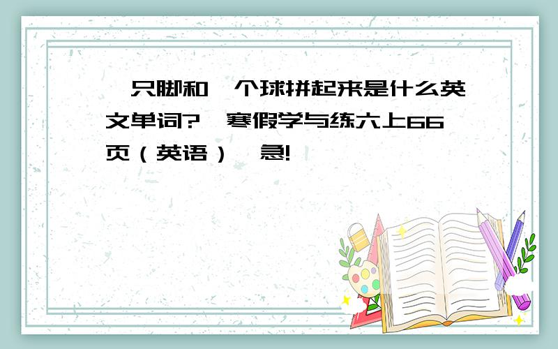 一只脚和一个球拼起来是什么英文单词?【寒假学与练六上66页（英语）】急!