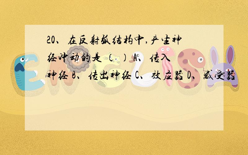 20、在反射弧结构中,产生神经冲动的是 （ ） A、传入神经 B、传出神经 C、效应器 D、感受器