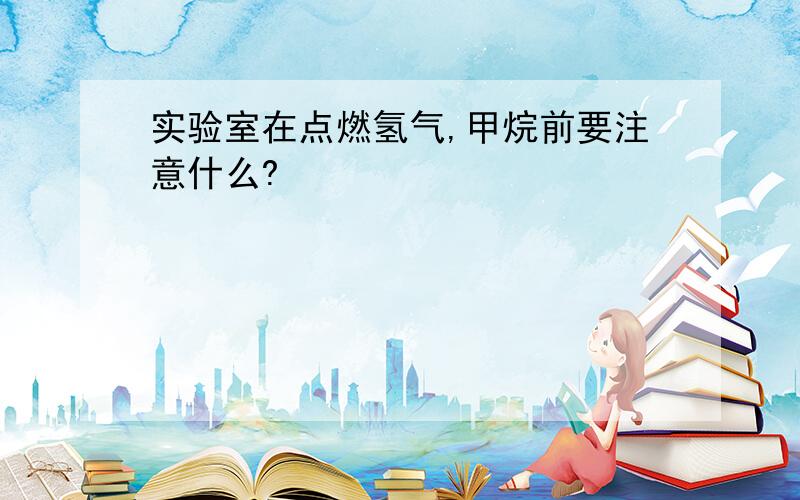 实验室在点燃氢气,甲烷前要注意什么?