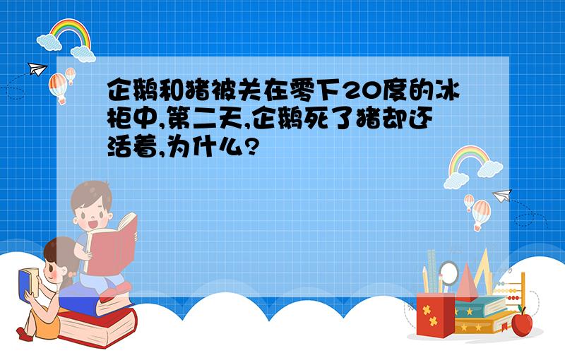 企鹅和猪被关在零下20度的冰柜中,第二天,企鹅死了猪却还活着,为什么?