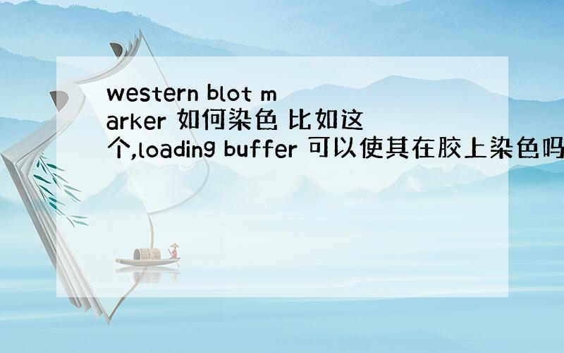 western blot marker 如何染色 比如这个,loading buffer 可以使其在胶上染色吗?