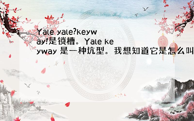 Yale yale?keyway!是锁槽。Yale keyway 是一种坑型。我想知道它是怎么叫的.