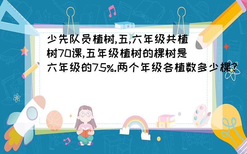 少先队员植树,五,六年级共植树70课,五年级植树的棵树是六年级的75%.两个年级各植数多少棵?