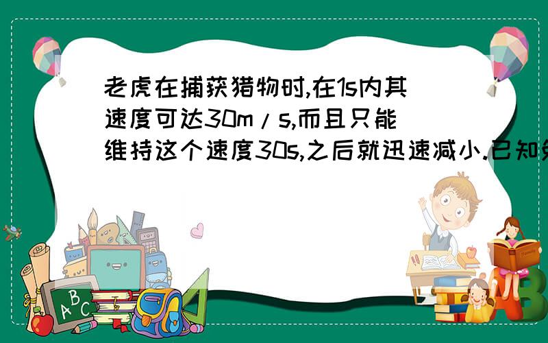 老虎在捕获猎物时,在1s内其速度可达30m/s,而且只能维持这个速度30s,之后就迅速减小.已知兔子从静止开始奔跑,能在